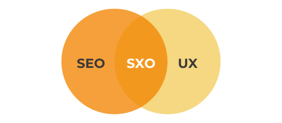 SXO: Otra prometedora de las tendencias de marketing digital 2025.